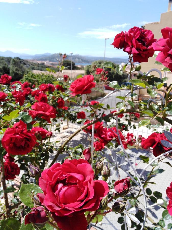 The Roses Garden Bed & Breakfast Ла Мадалена Екстериор снимка