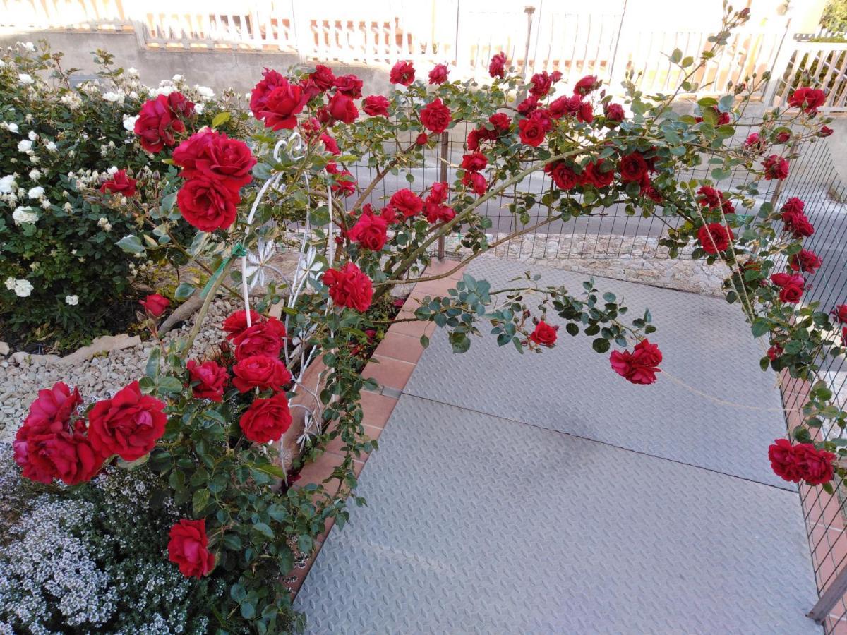 The Roses Garden Bed & Breakfast Ла Мадалена Екстериор снимка