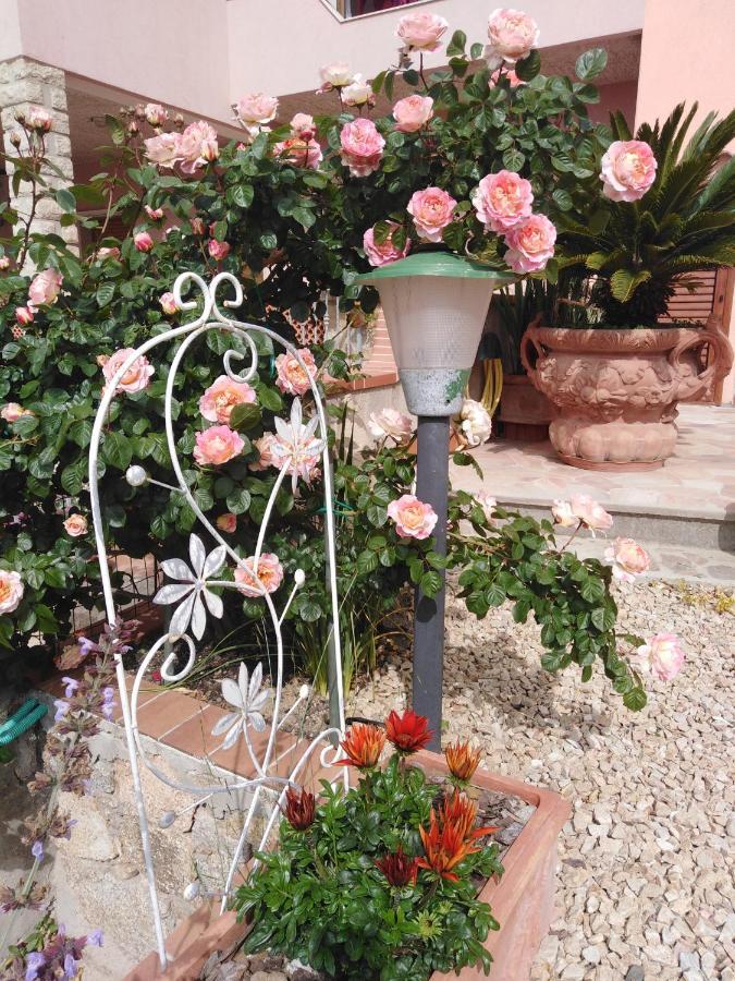 The Roses Garden Bed & Breakfast Ла Мадалена Екстериор снимка